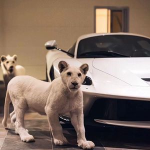 女奥特曼🔞十八禁
